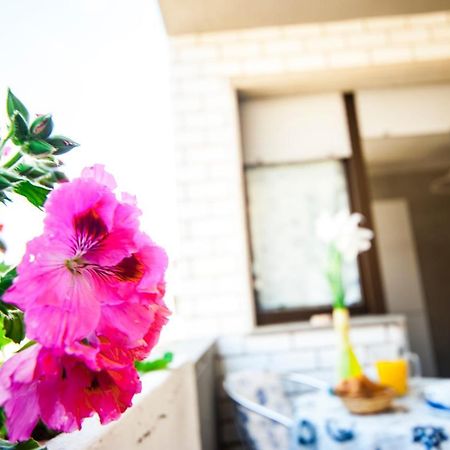 B & B Brisa Del Mar Αλγκέρο Εξωτερικό φωτογραφία